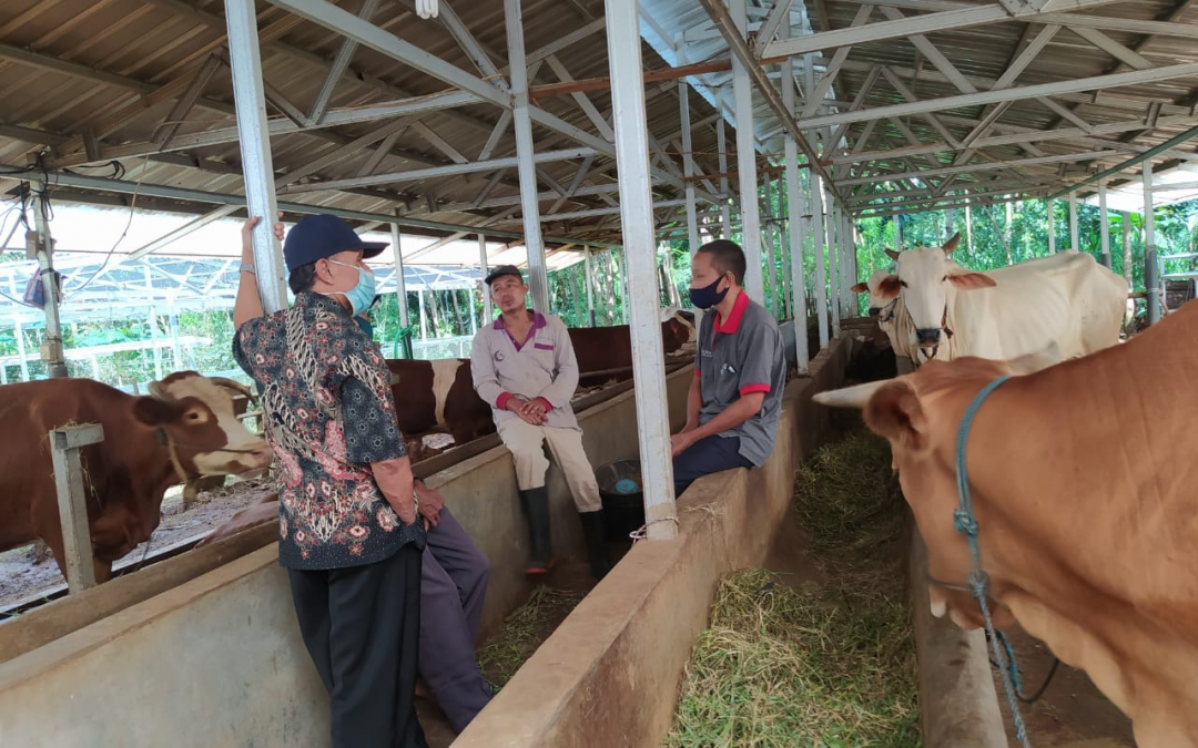 Seorang Guru Belajar Produksi Pupuk Kandang untuk Bantu Petani di Desa Dermolo
